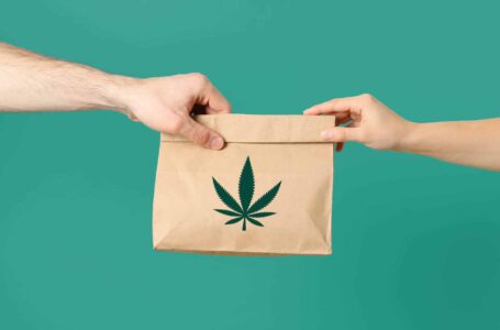 cannabis retailer service | Weed or Cannabis delivery in Port Hadlock WA