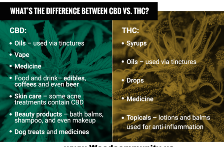 What is CBD or THC ? | CBD VS THC: Medical Benefits